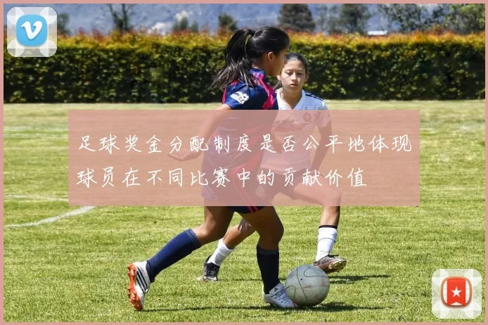 足球奖金分配制度是否公平地体现球员在不同比赛中的贡献价值