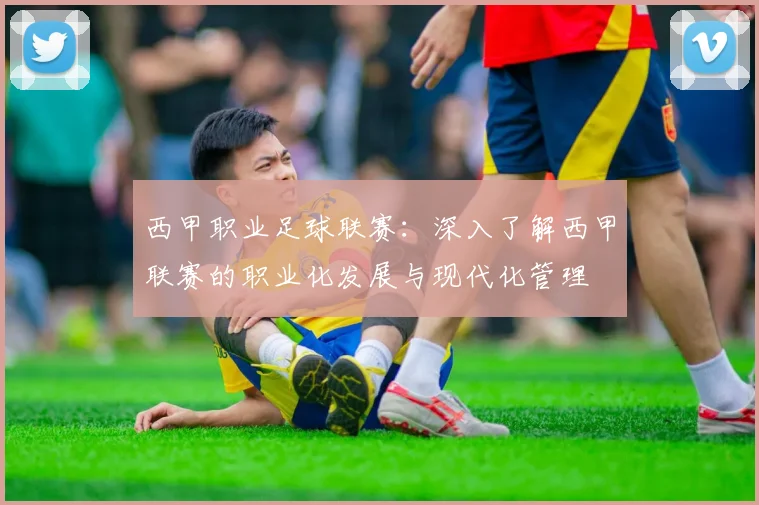 西甲职业足球联赛：深入了解西甲联赛的职业化发展与现代化管理