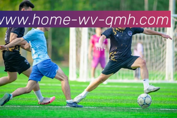 球盟会平台生态图