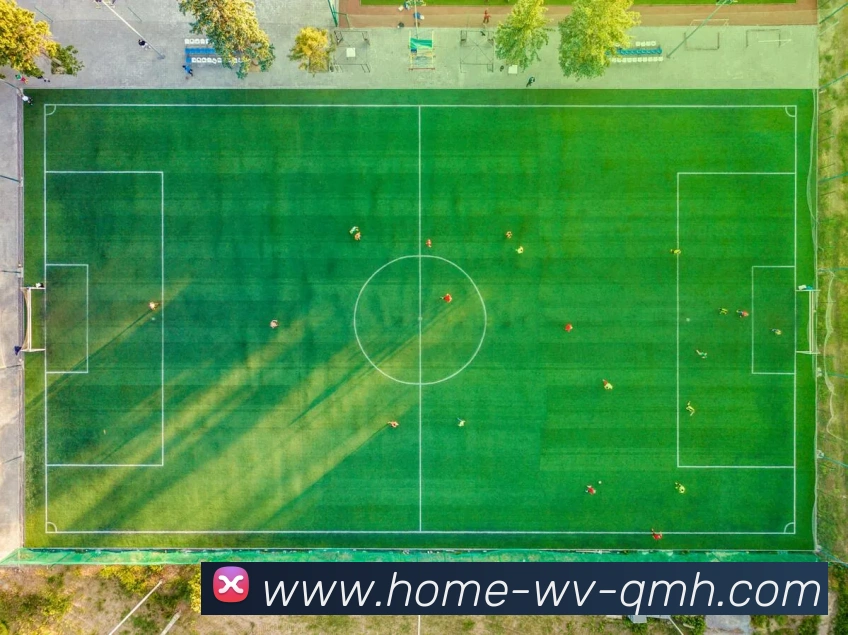 数据防护可视化